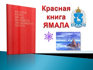 Ямалов книги