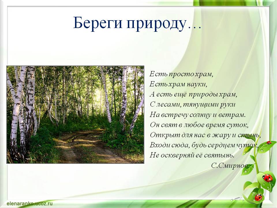 Предложения о природе. Проект о природе. Проект природа и мы. Большие проекты про природу. Проект о природе 4 класс.