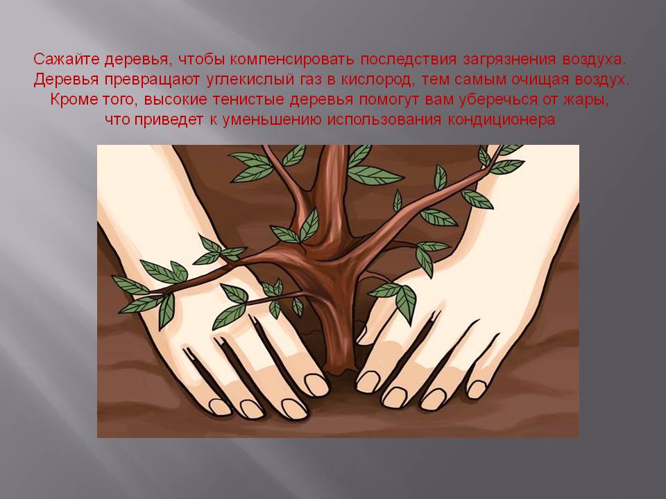 Книга природы презентация. Жалобы природы. Рисунки на тему Жалобная книга природы. Жалобная книга природы презентация. Жалобная книга природы в картинках для детей.