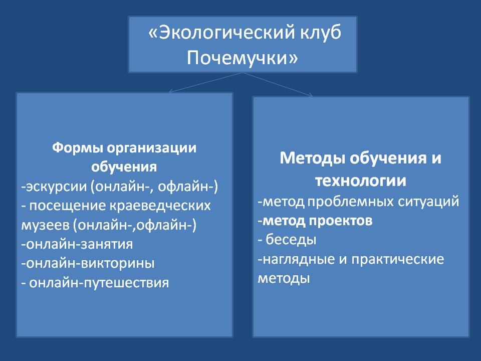 Внеурочная деятельность в рамках реализации ФГОС НОО с ОВЗ Слайд 10