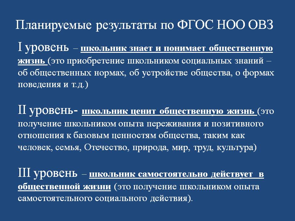 Внеурочная деятельность в рамках реализации ФГОС НОО с ОВЗ Слайд 19