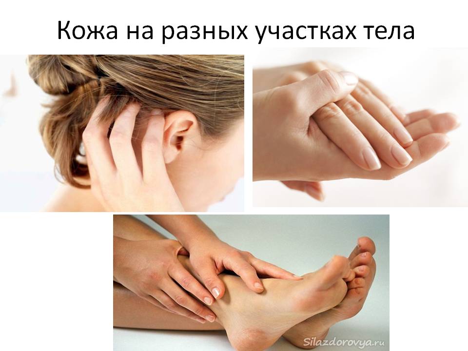 Презентация к уроку Кто Я Слайд 7