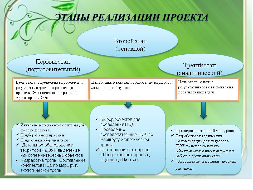 Окружающее этап. Этапы реализации экологического проекта. Этапы реализации проекта в ДОУ. Этапы проекта по экологии в ДОУ. Проект в детском саду этапы реализации.