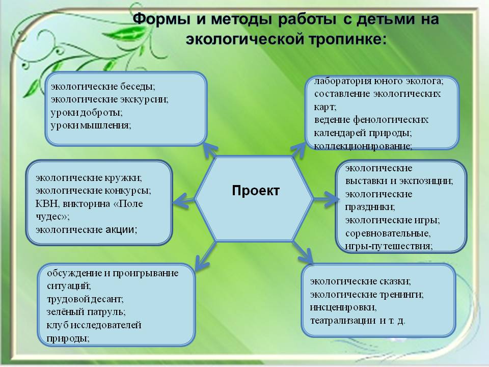 Проект Экологическая тропа на территории ДОУ Слайд 11