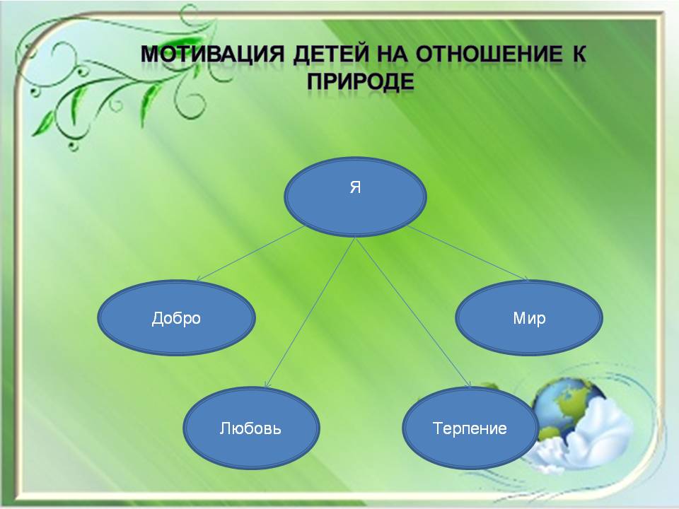 Проект Экологическая тропа на территории ДОУ Слайд 13