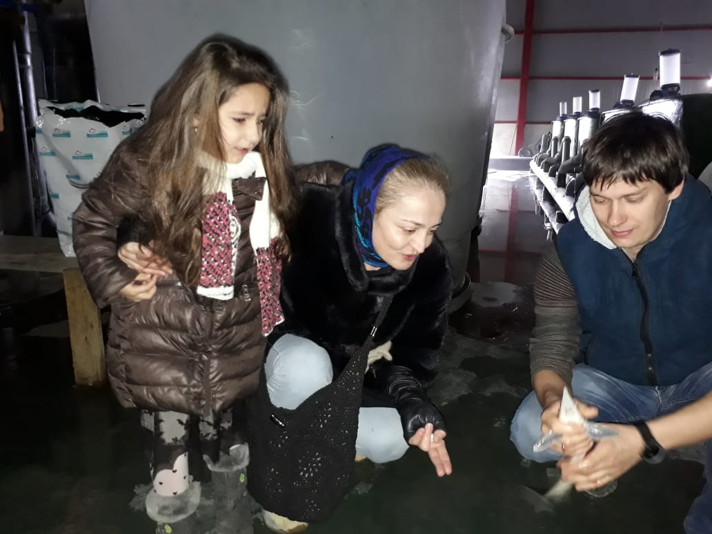Проект Охрана осетровых пород рыб Каспийского моря