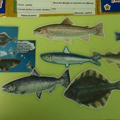 Лэпбук Рыбы из бумаги разной фактуры